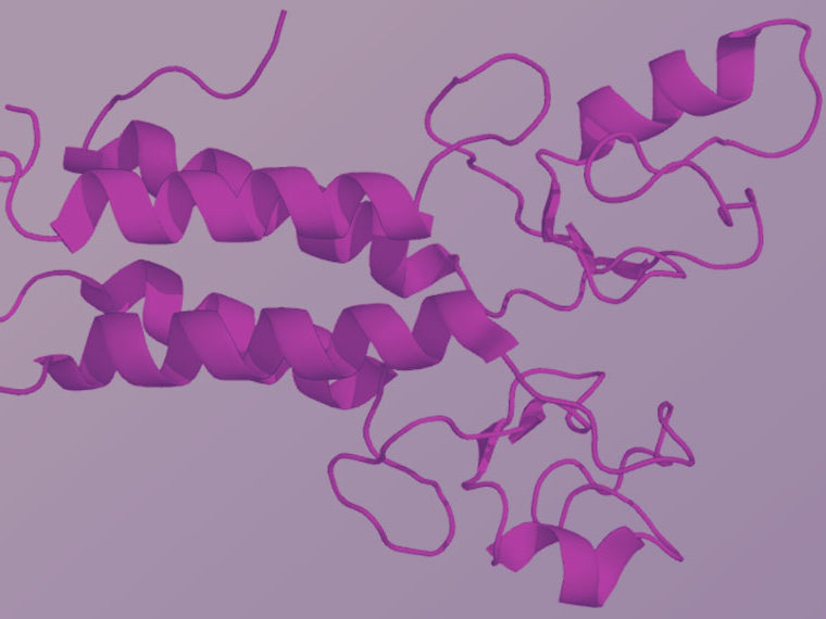 Computer model of chromosomes unwinding