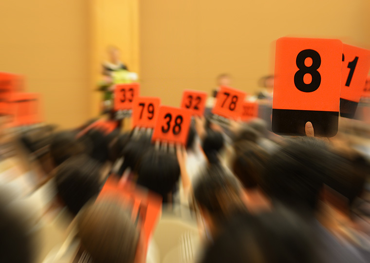A crowd of people holding numbered range bidding paddles