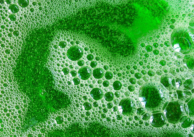 A close-up of soapy green water