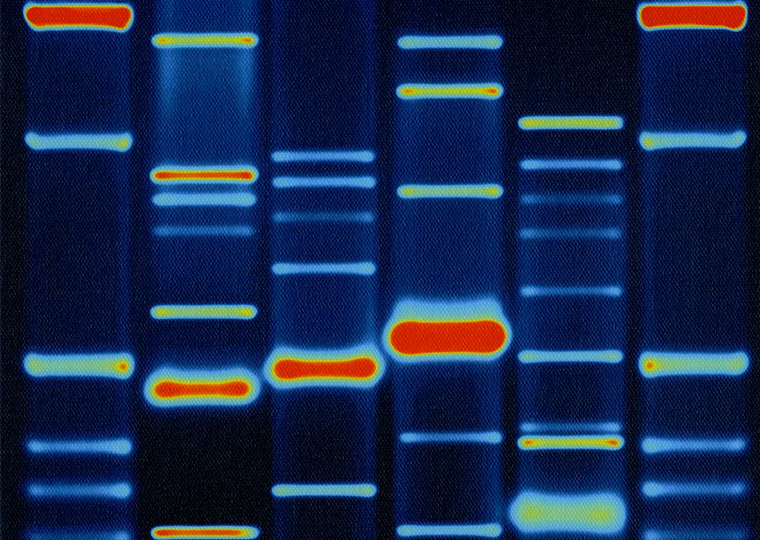 A color image of a genome.