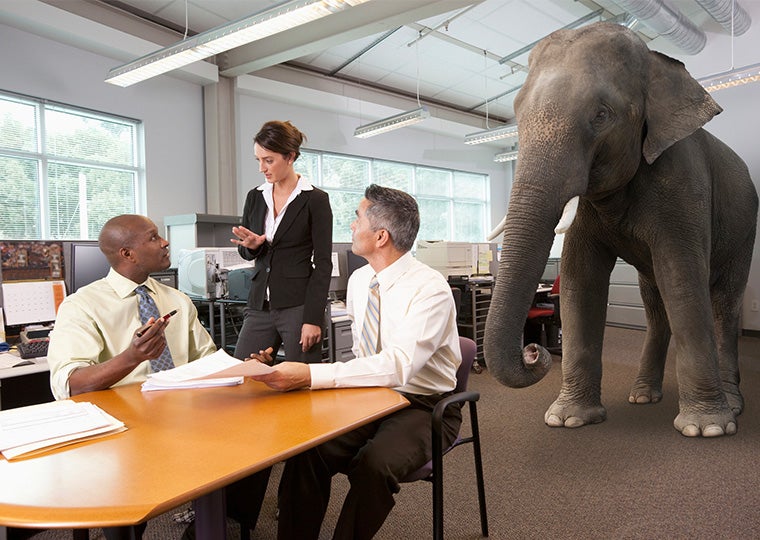 Conceptual image of elephant in the room at business meeting.
